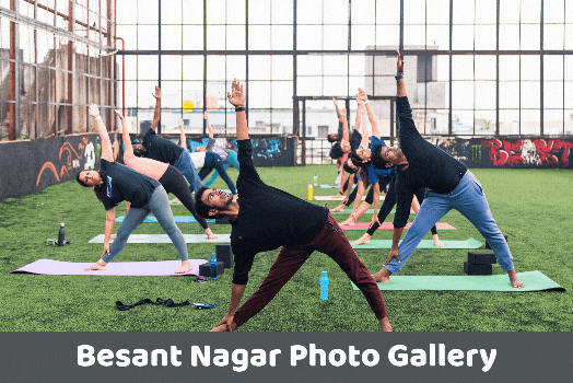 Best Yoga Institute in Chennai